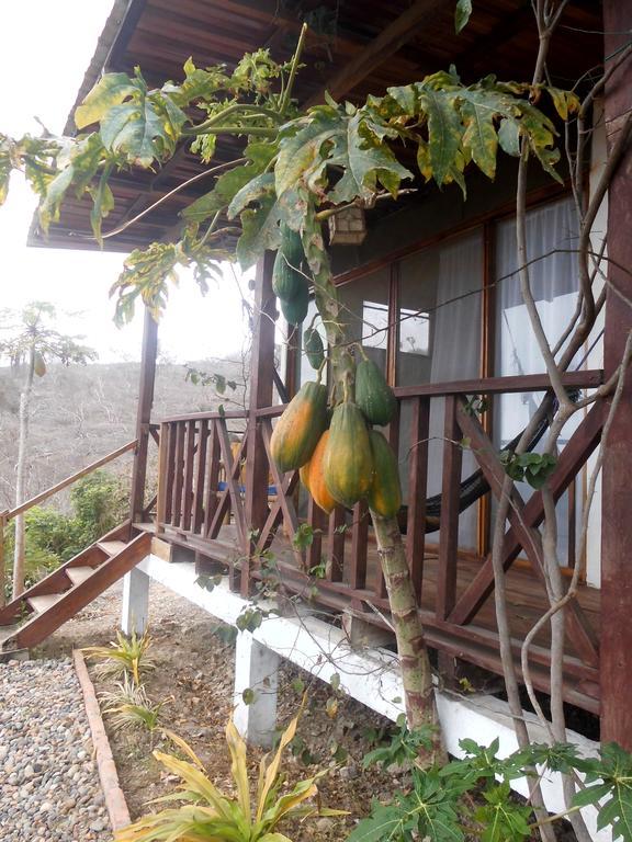 Maremonti Bed & Breakfast Puerto López Eksteriør bilde