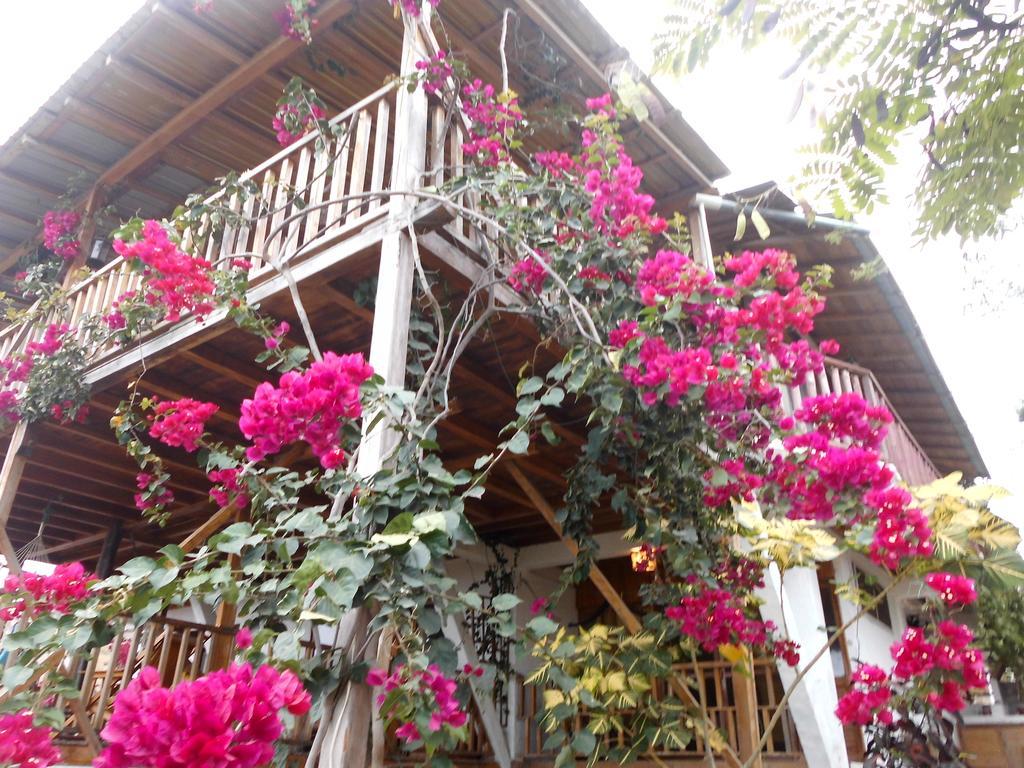 Maremonti Bed & Breakfast Puerto López Eksteriør bilde