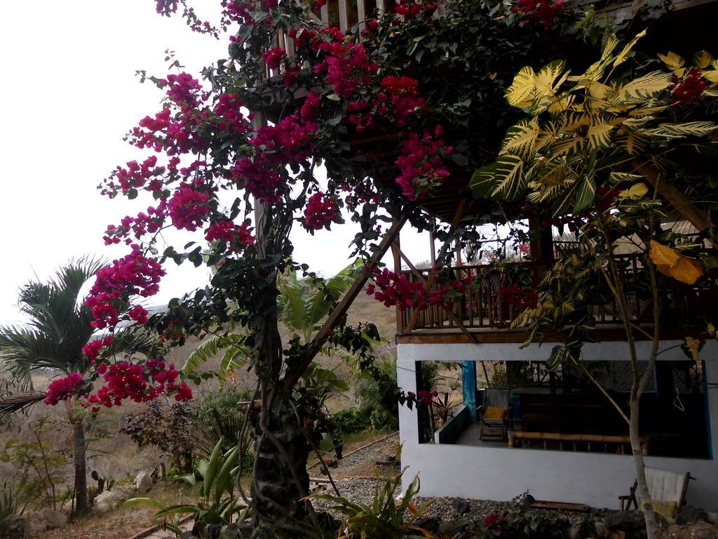 Maremonti Bed & Breakfast Puerto López Eksteriør bilde