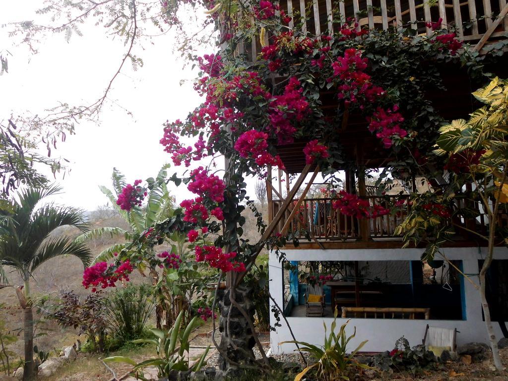 Maremonti Bed & Breakfast Puerto López Eksteriør bilde